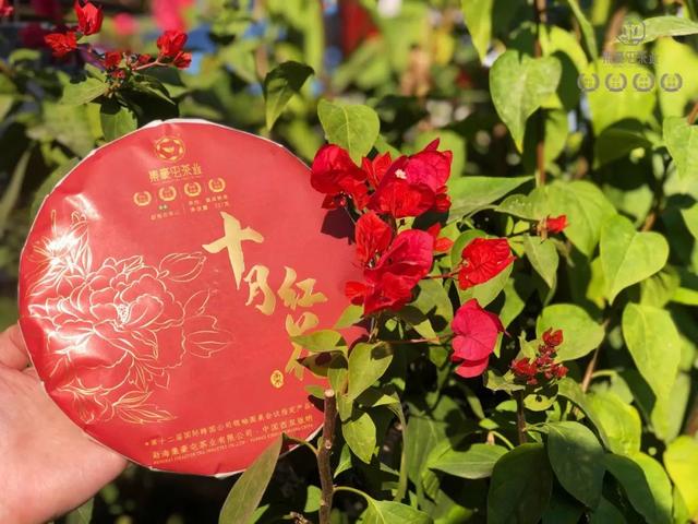 九月奇跡，十月紅花