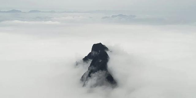 萃取天地精華，只為健康生活